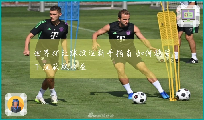 世界杯让球投注新手指南 如何稳妥下注获取收益