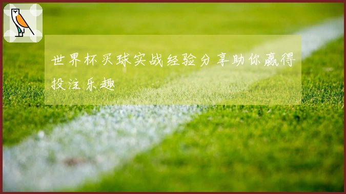 世界杯买球实战经验分享助你赢得投注乐趣