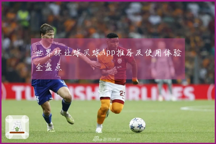 世界杯让球买球App推荐及使用体验全盘点