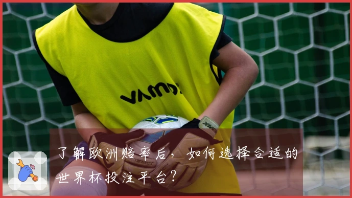 了解欧洲赔率后，如何选择合适的世界杯投注平台？