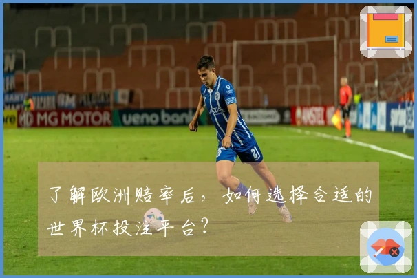 了解欧洲赔率后，如何选择合适的世界杯投注平台？