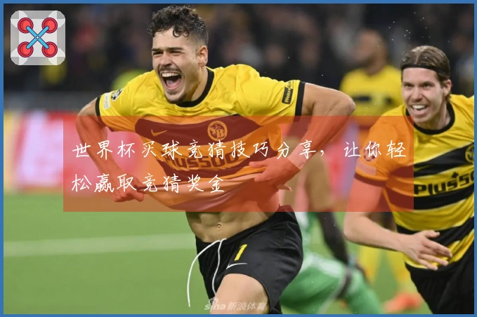 世界杯买球竞猜技巧分享，让你轻松赢取竞猜奖金