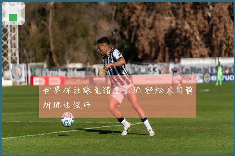 世界杯让球竞猜怎么玩 轻松入门解析玩法技巧
