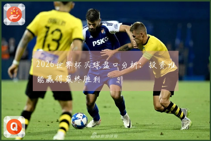 2026世界杯买球盘口分析：投资谁能赢得最终胜利
