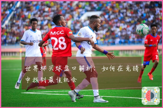 世界杯买球盘口解析：如何在竞猜中找到最佳机会