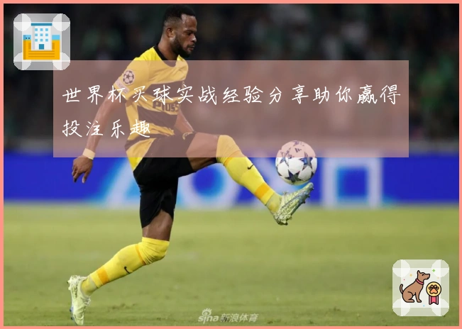 世界杯买球实战经验分享助你赢得投注乐趣
