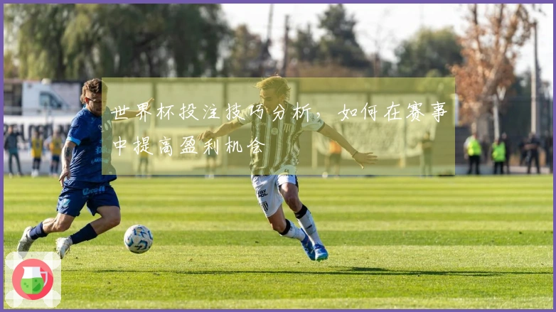 世界杯投注技巧分析，如何在赛事中提高盈利机会