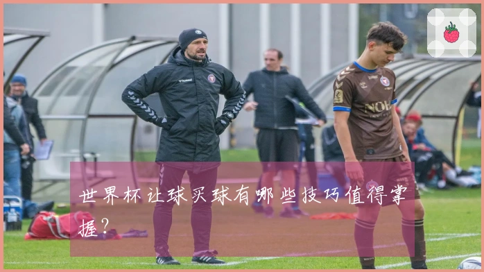世界杯让球买球有哪些技巧值得掌握？