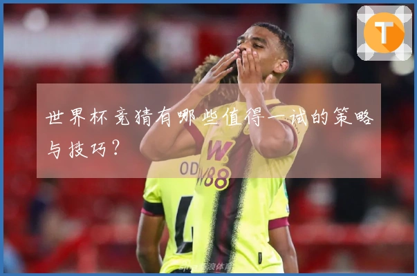 世界杯竞猜有哪些值得一试的策略与技巧？