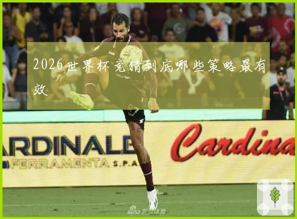 2026世界杯竞猜到底哪些策略最有效
