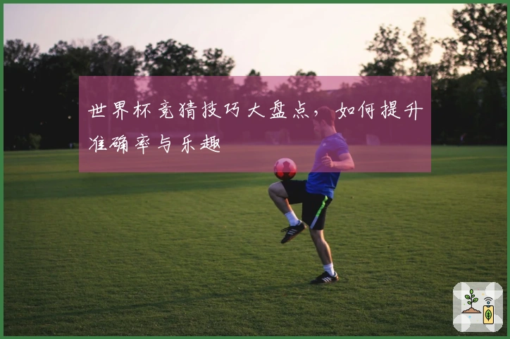 世界杯竞猜技巧大盘点，如何提升准确率与乐趣