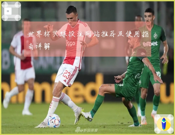 世界杯买球投注网站推荐及使用指南详解