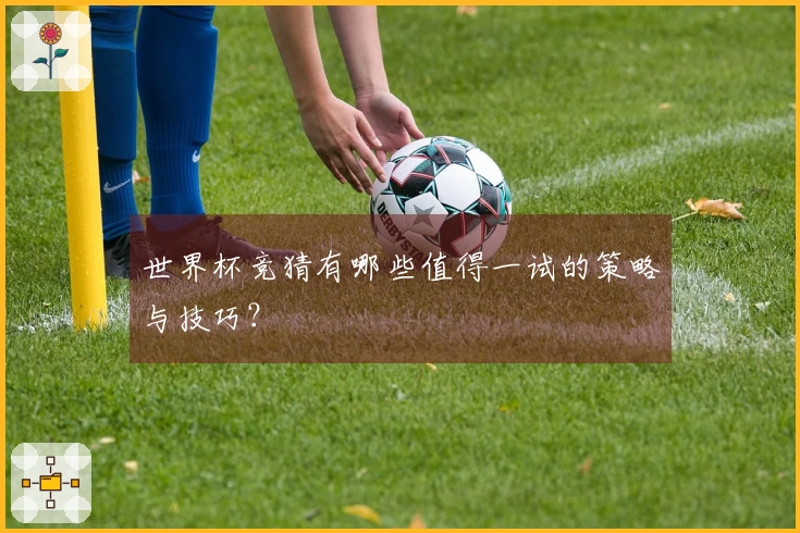 世界杯竞猜有哪些值得一试的策略与技巧？