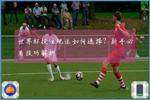 世界杯投注玩法如何选择？新手必看技巧解析